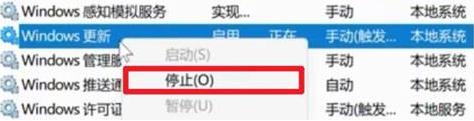 停止自动更新