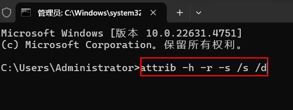 使用命令提示符显示