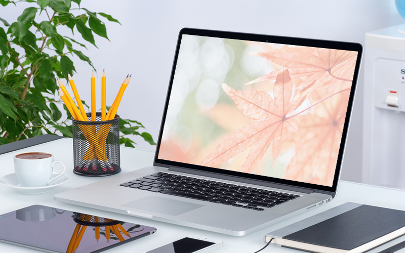 微信正在清理如何回事