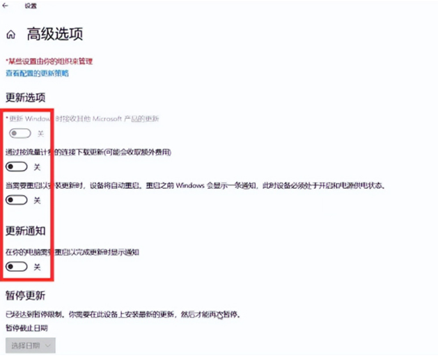 高级选项
