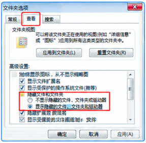 通过文件夹选项显示隐藏文件